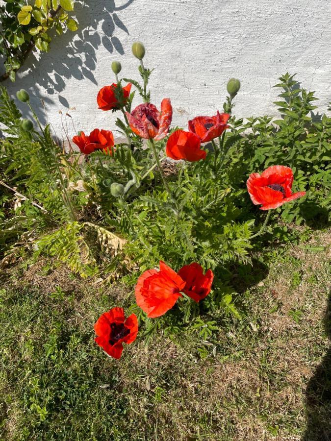 Kapelludden Oestra Oeland Villa Köpingsvik Kültér fotó