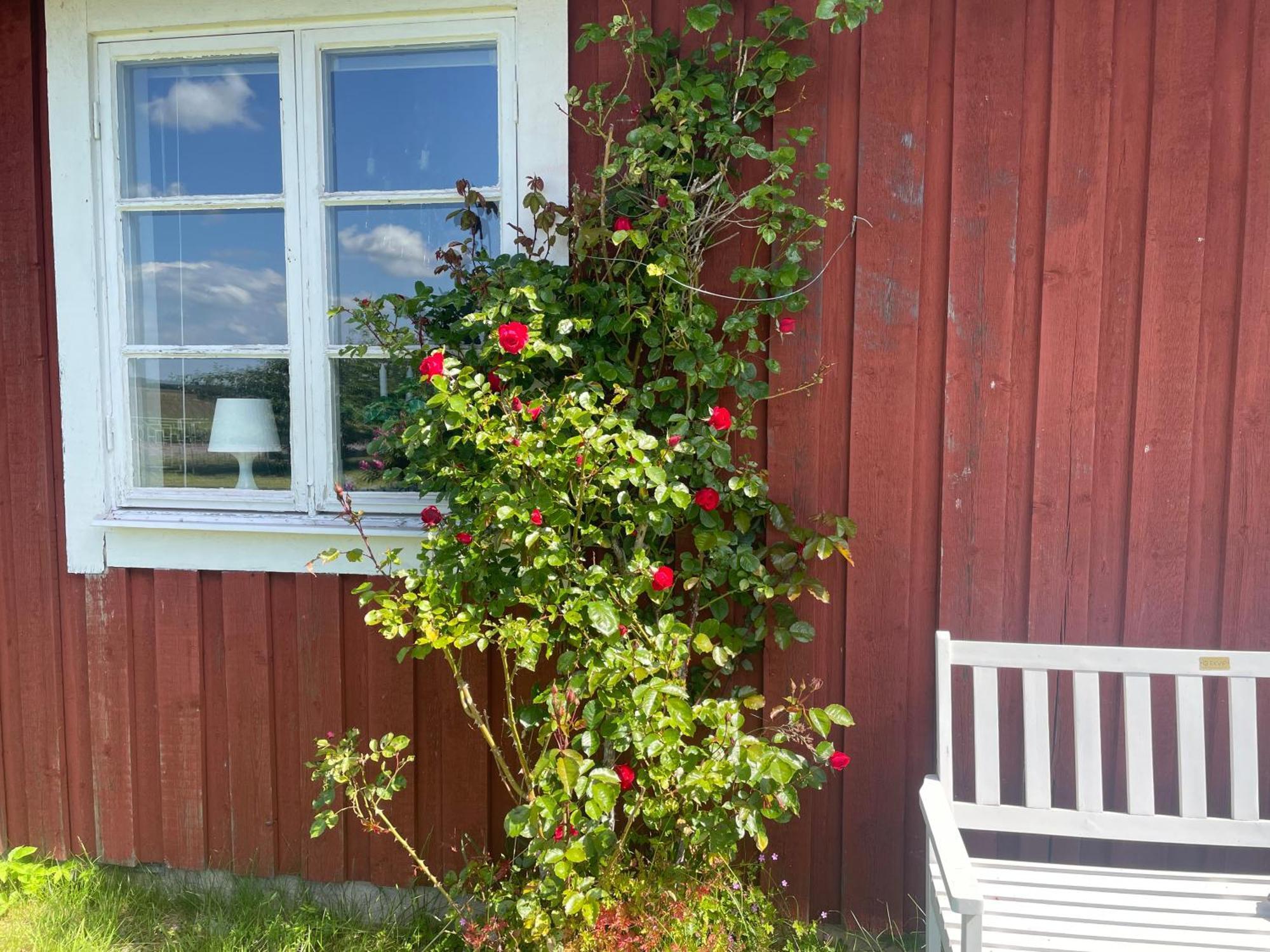 Kapelludden Oestra Oeland Villa Köpingsvik Kültér fotó